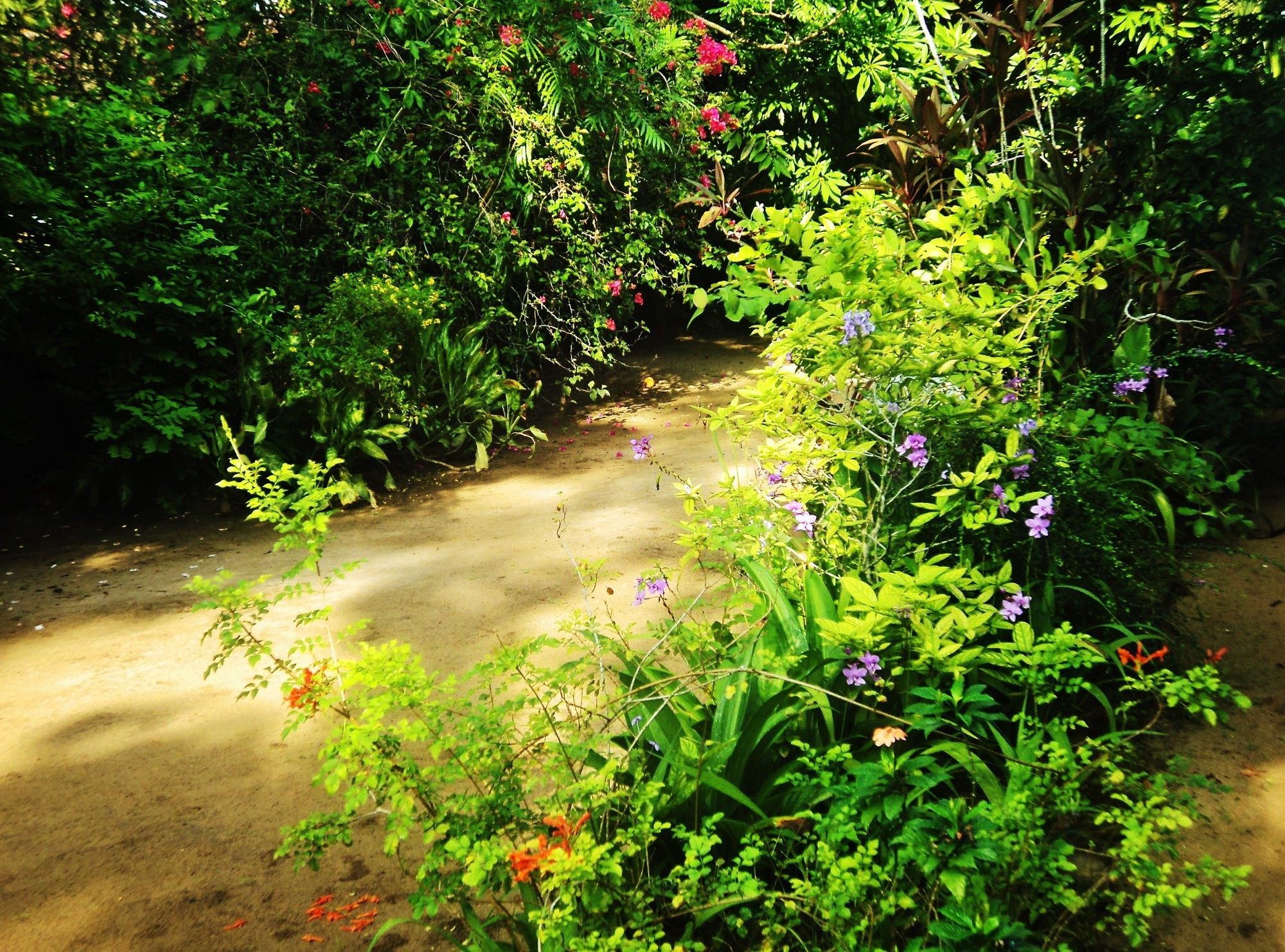 Walauwa The Villa Ahungalla (Adults Only) Εξωτερικό φωτογραφία